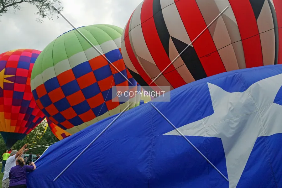 Photo 572-212-322
