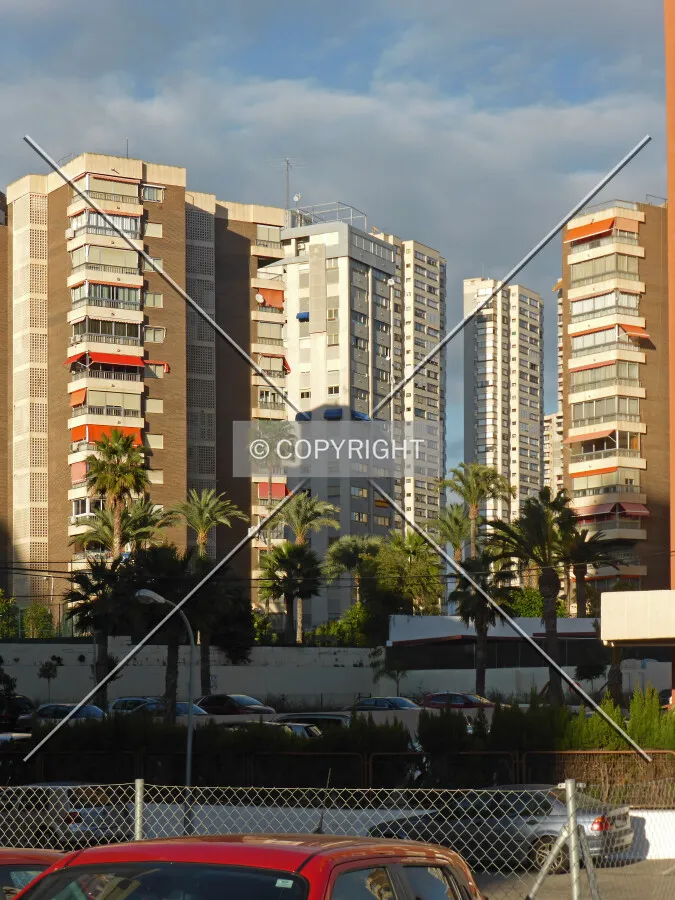 Photo 057-243-684