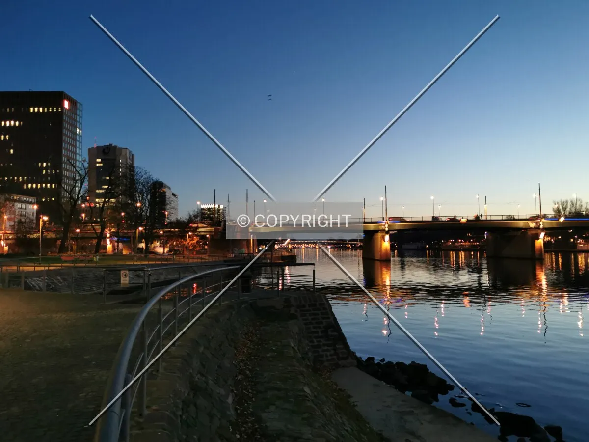 Photo 572-972-088