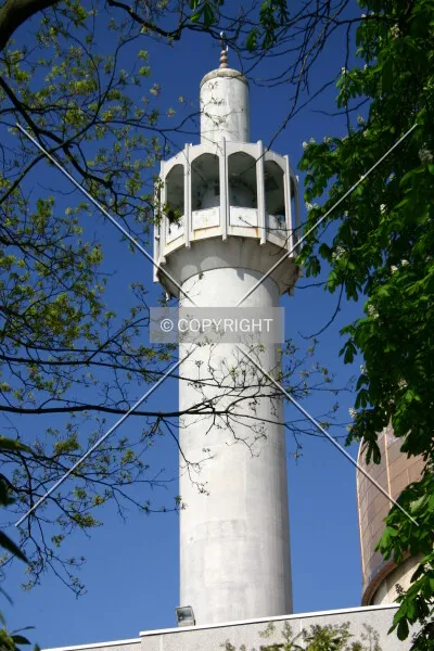 Photo 573-273-917