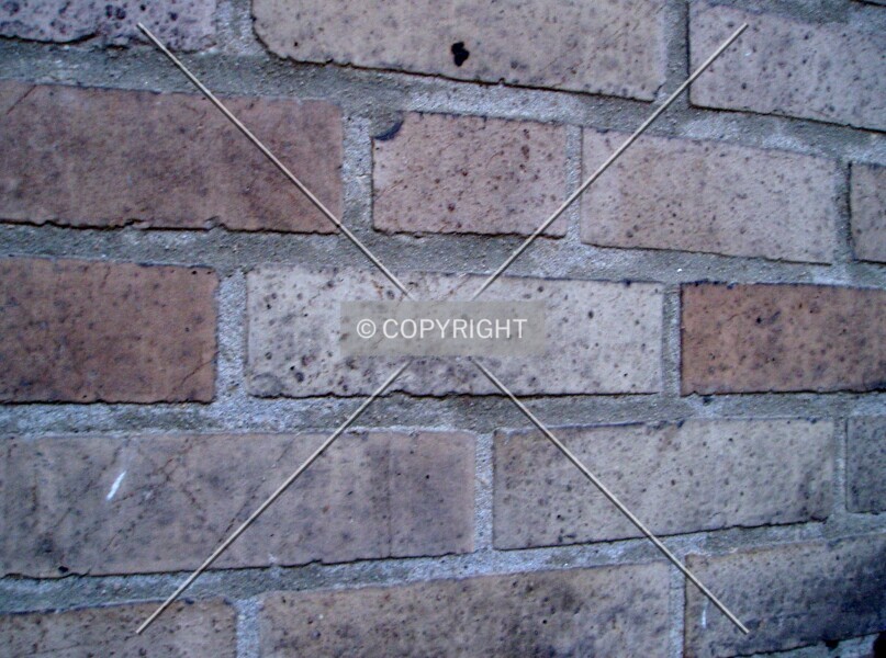 Photo 573-921-720