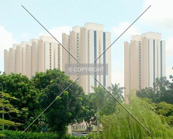 View of project from Kampong Java Road