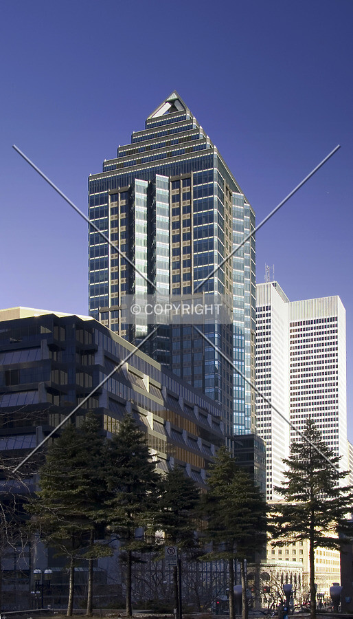 View from the west