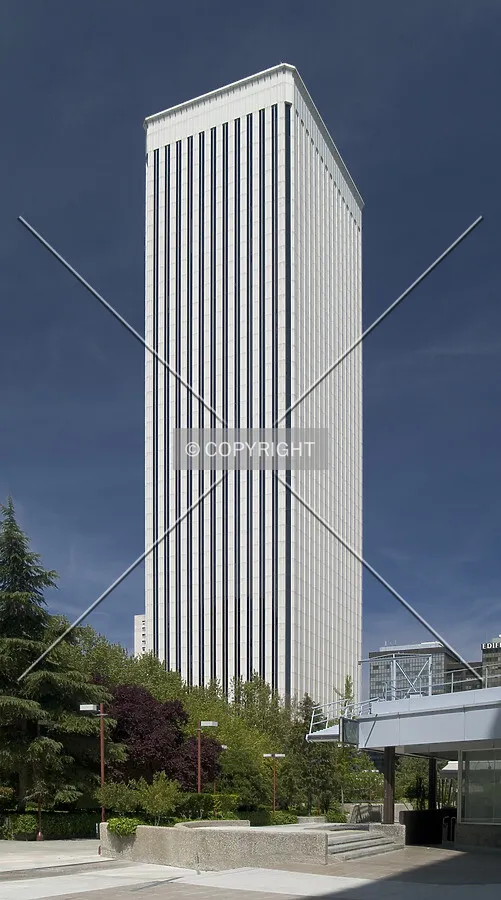 View from the southeast