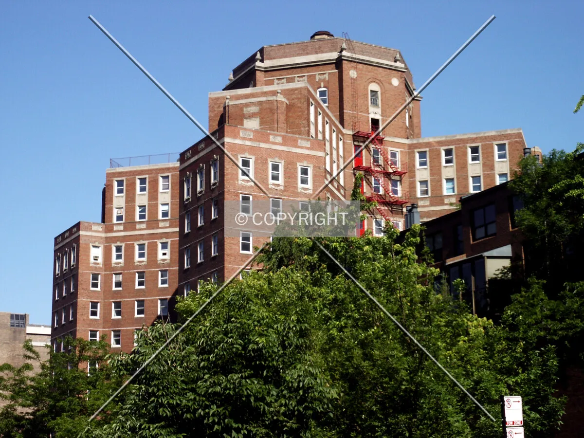 View from the southeast