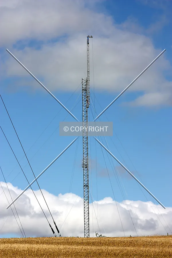 Full-height view