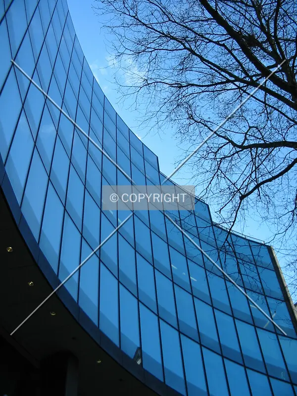 Looking up from the base of the building's curvilinear rear facade