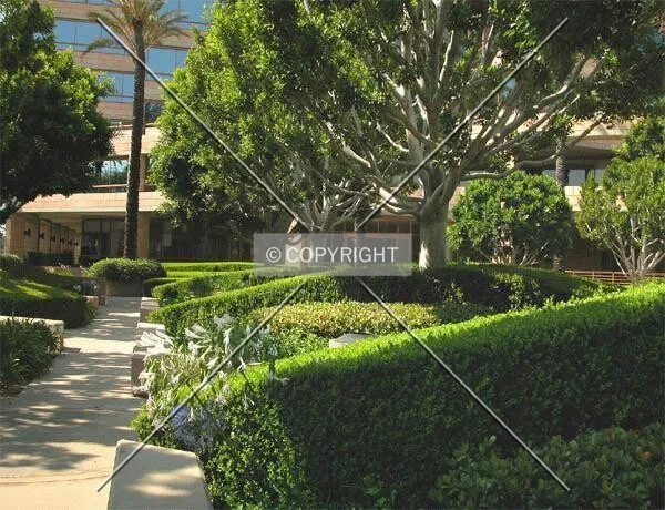 Plenty of foliage keeps the front plaza cool