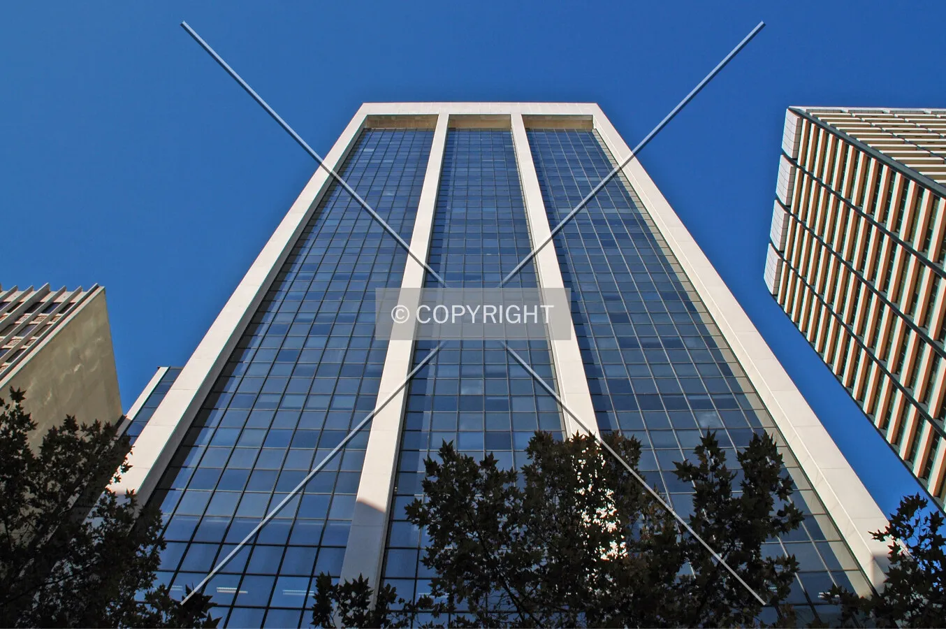 Looking up from Clarence Street