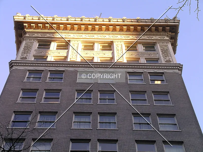 Photo 579-021-241