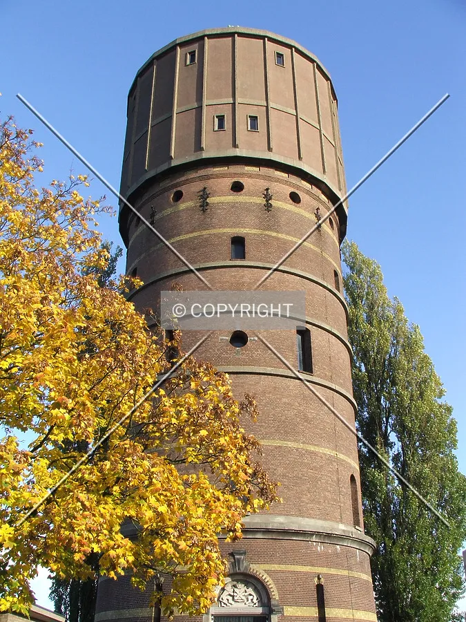 Looking up from Hoog en Droog