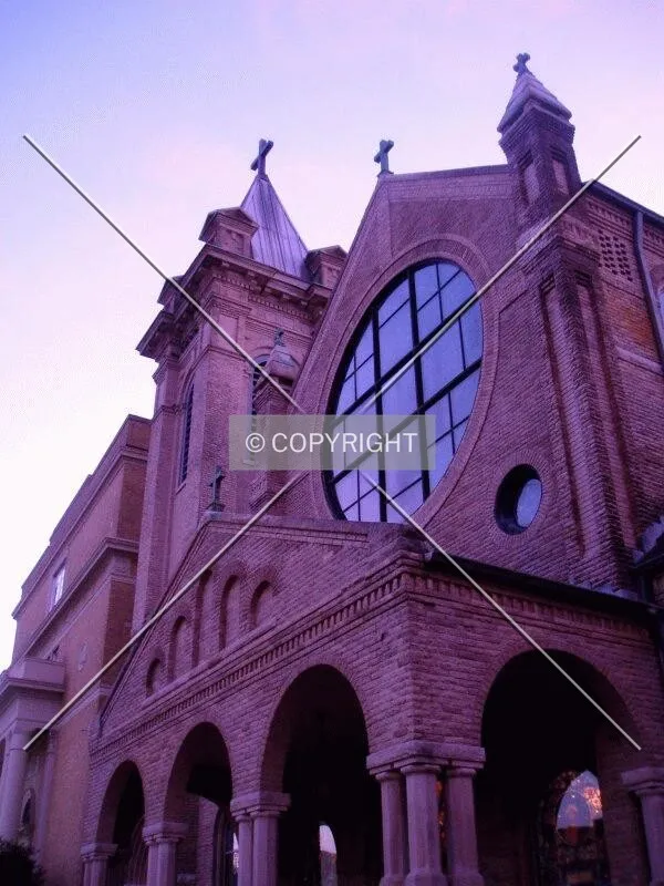 Photo 580-208-786
