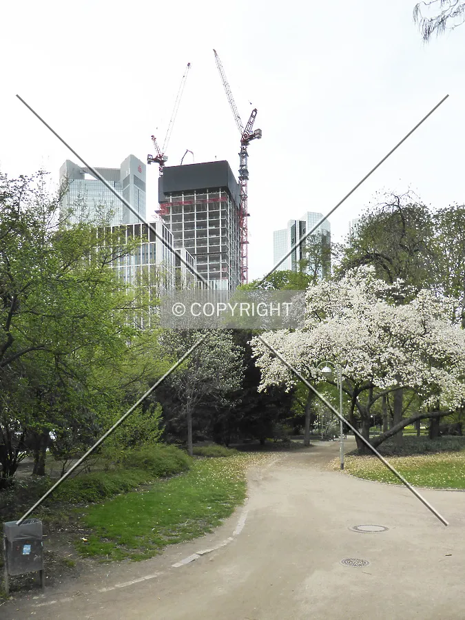 Photo 058-028-800