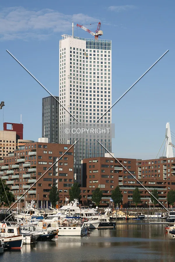 View from the east