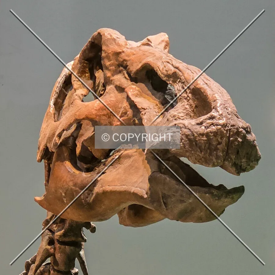 Detail of a display: April 14, 2025