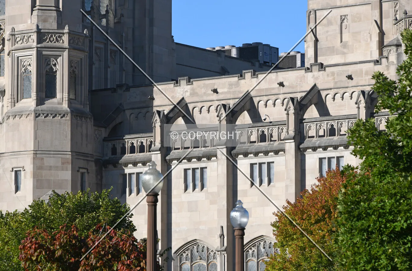 View from the northeast