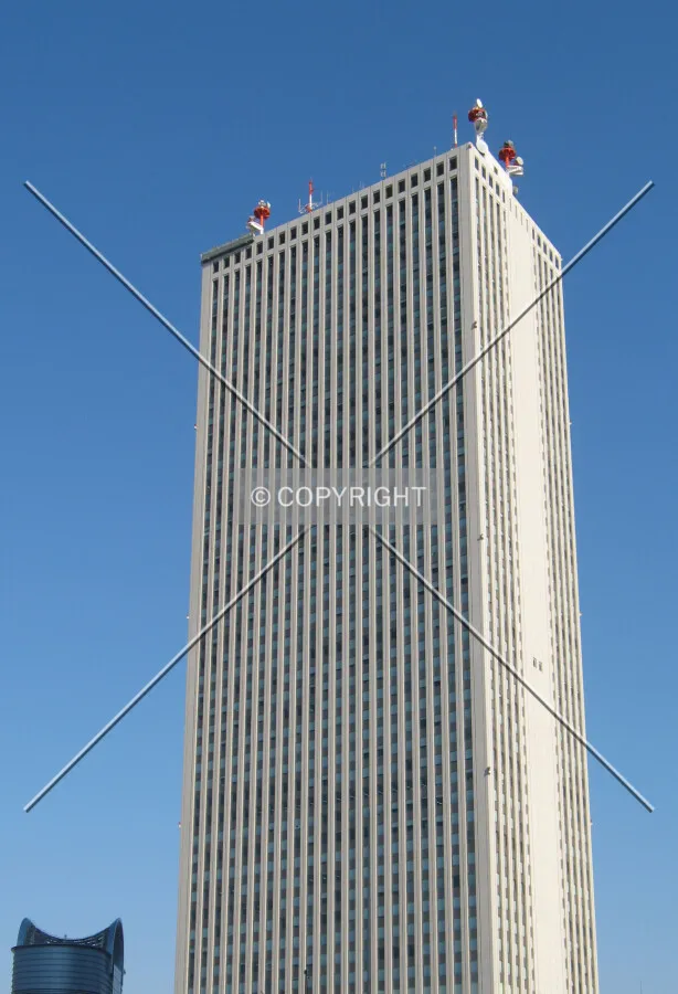 View from the southwest