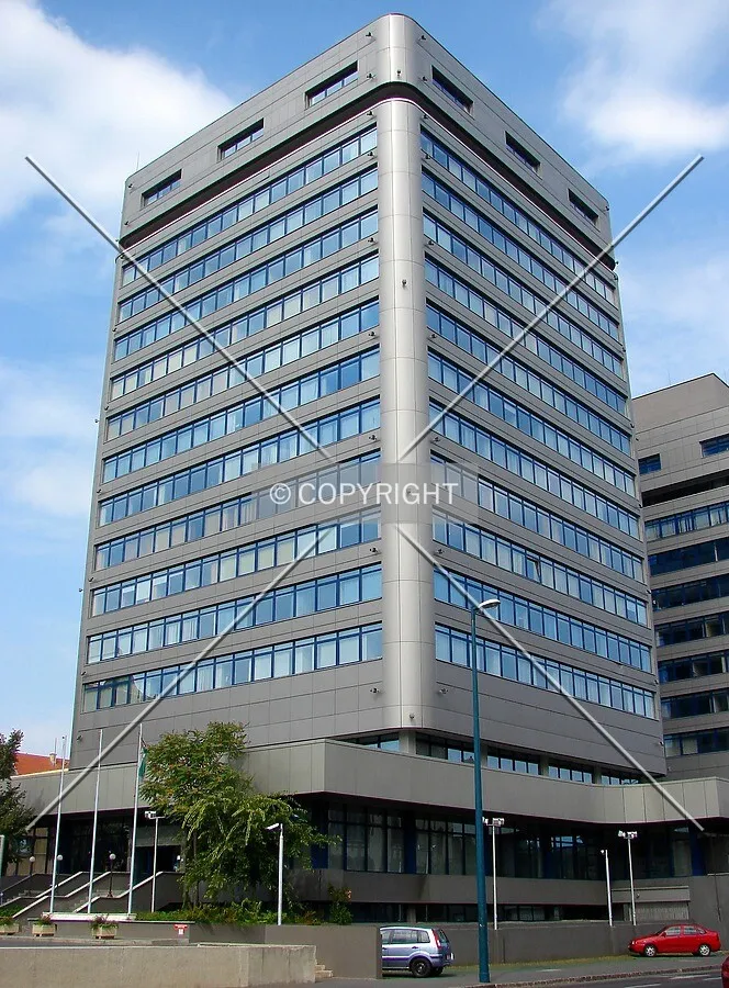 View from the south