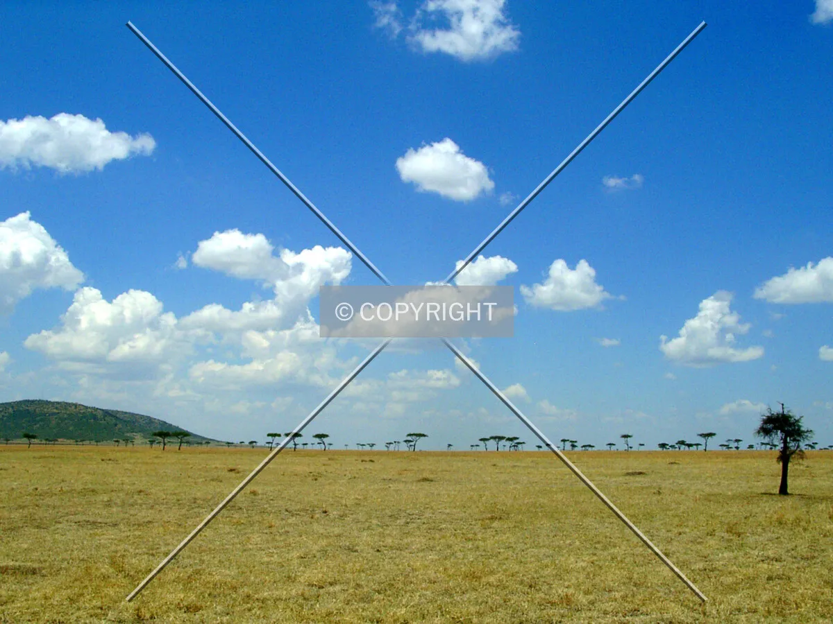nice weather in Massai Mara