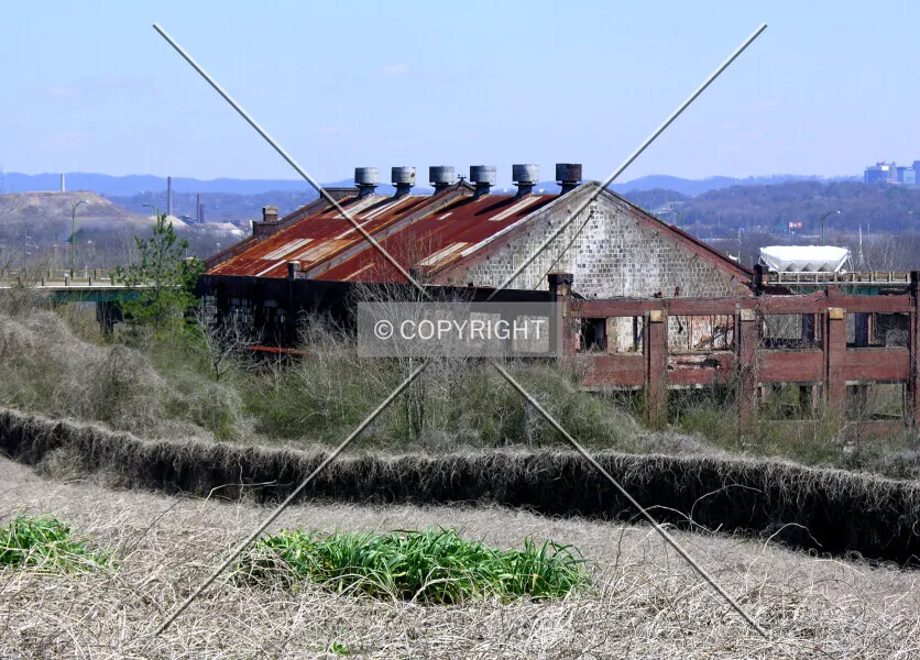 Photo 582-123-356