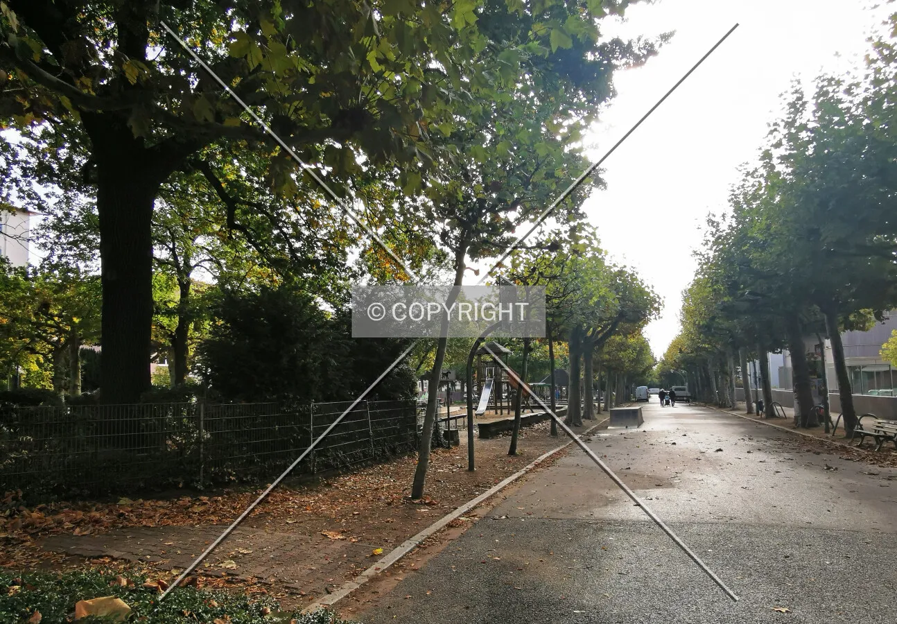 Photo 058-234-489