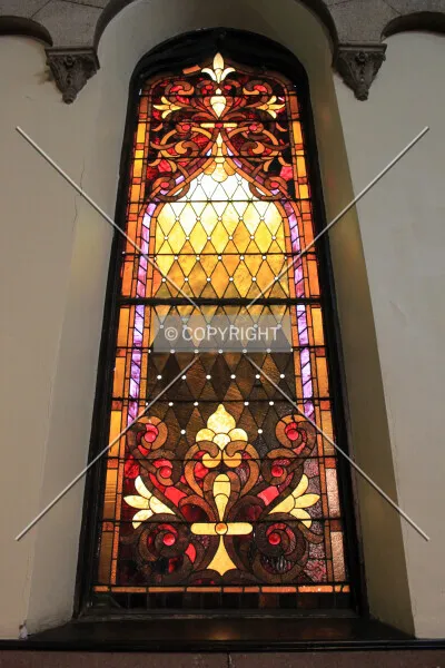 Photo 582-462-569