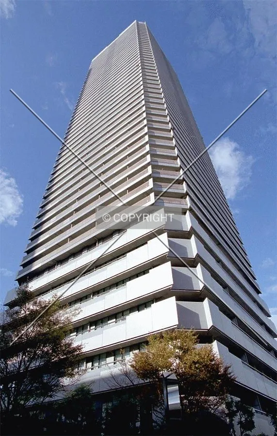 View from the northeast