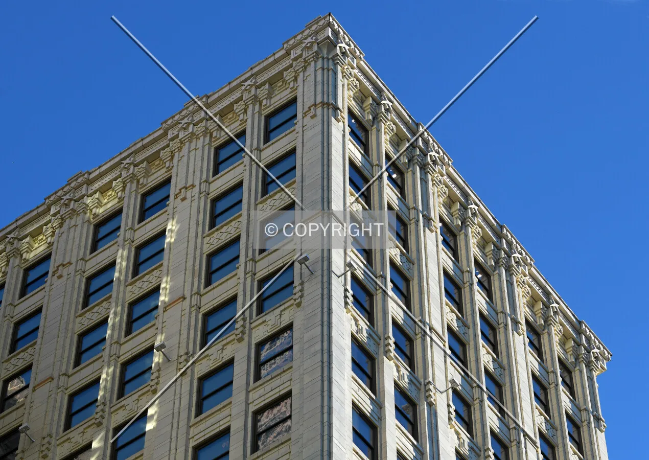 View from the north