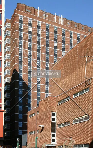 Photo 584-160-285