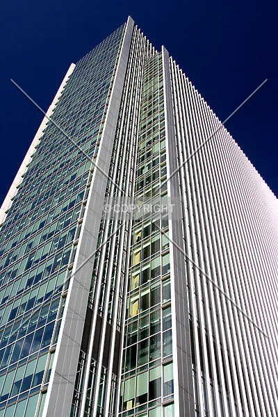 Photo 584-201-595