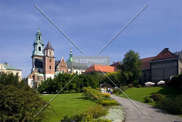 View from the gardens