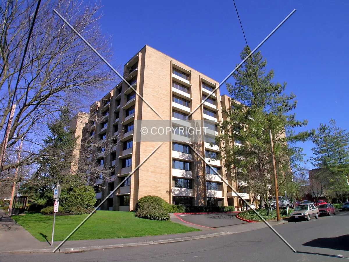 Northeastern view
