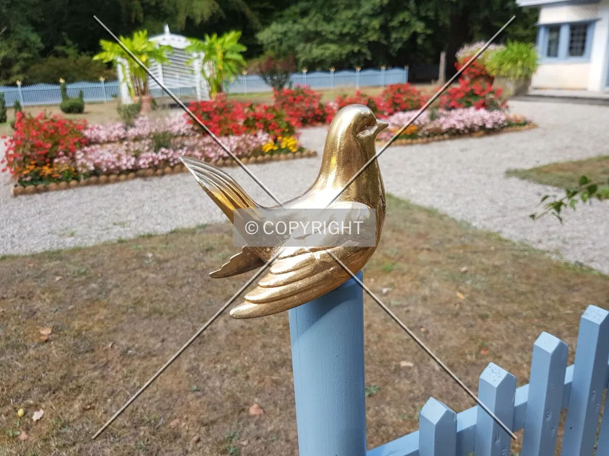 Schloß Wolfsgarten in 2018