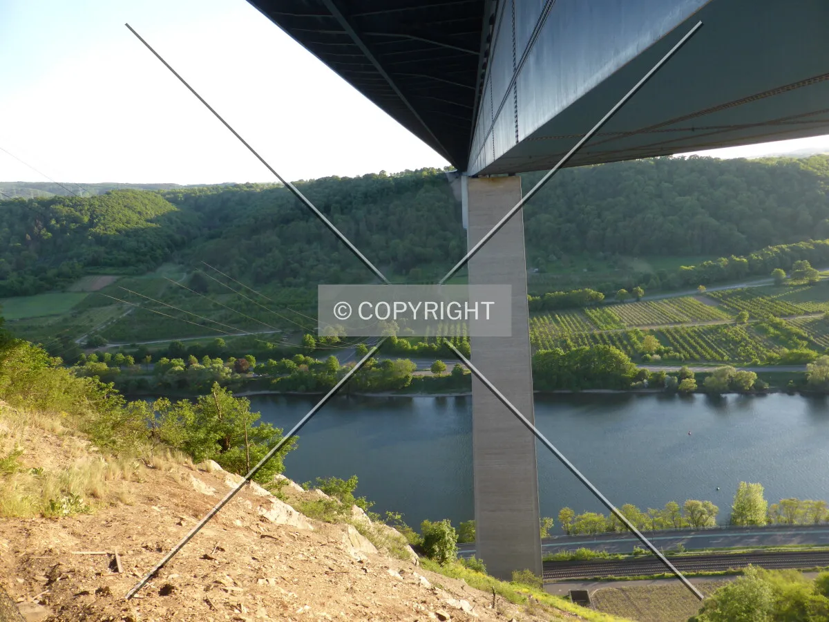 Photo 585-241-383