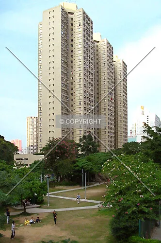 View from New Jade Garden