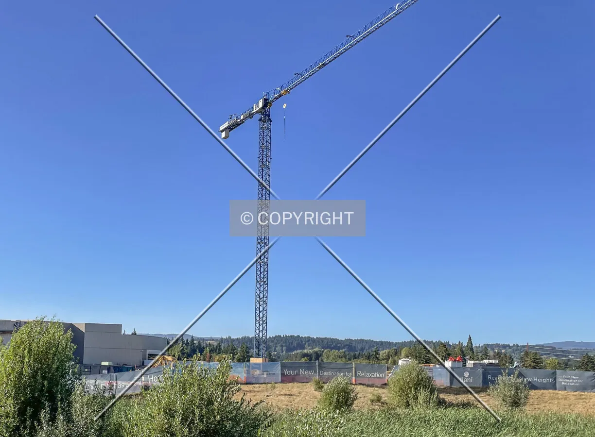Tower crane is up