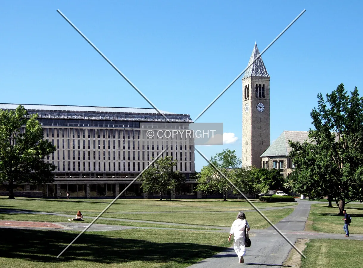 View from the northeast with the Olin Library to the left