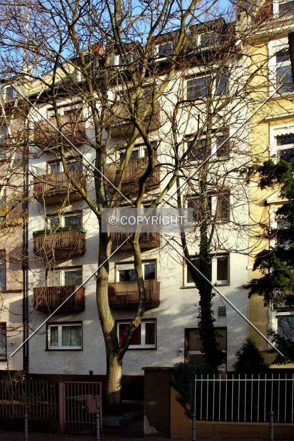 West facade behind trees