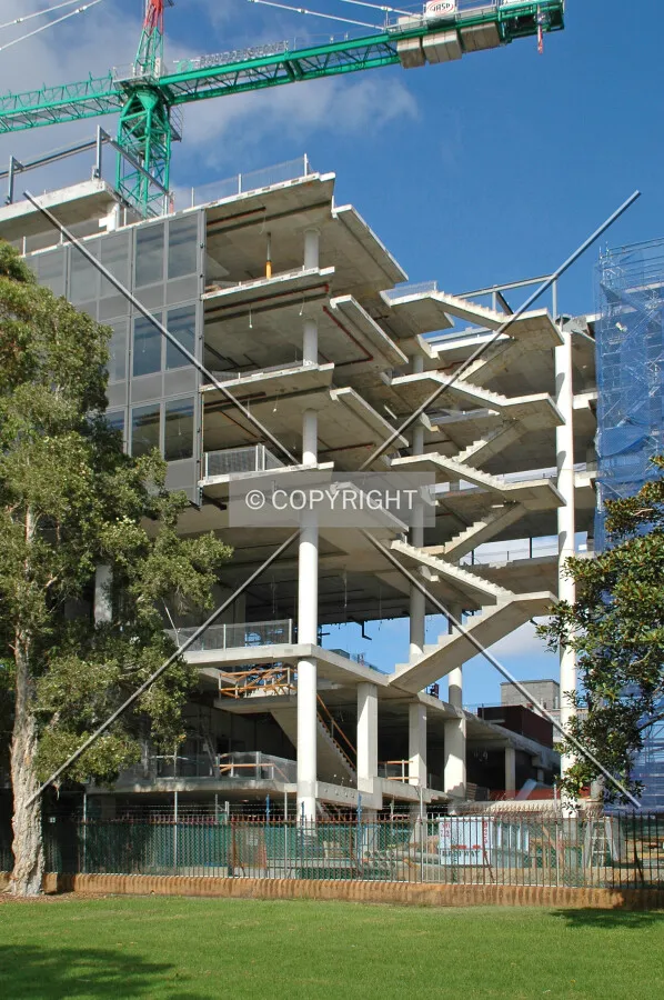 Looking up from Victoria Park