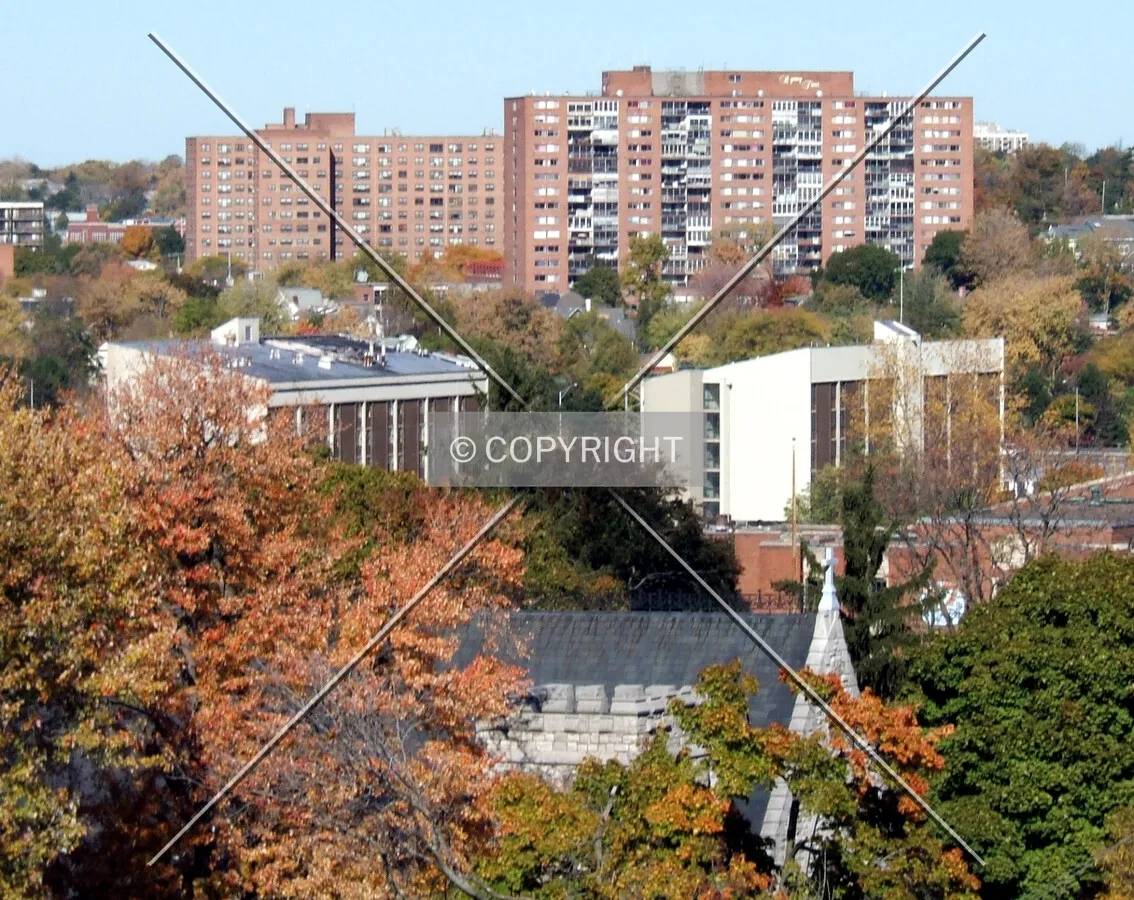 View from the southeast