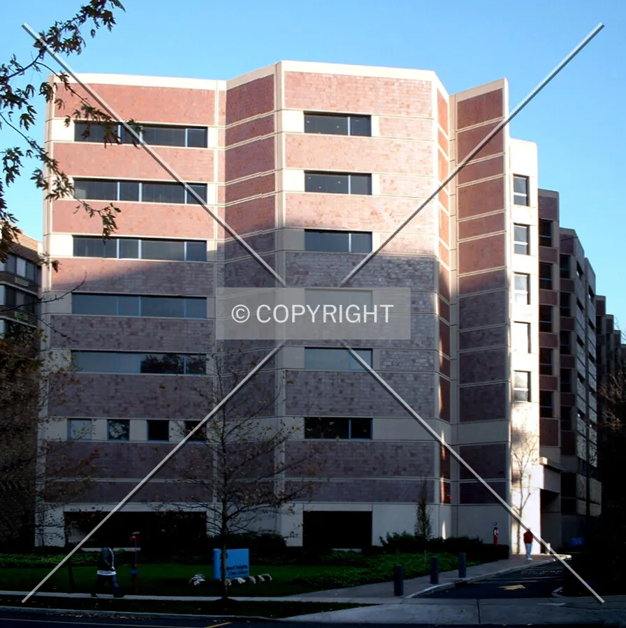 View from the west across Prospect Avenue