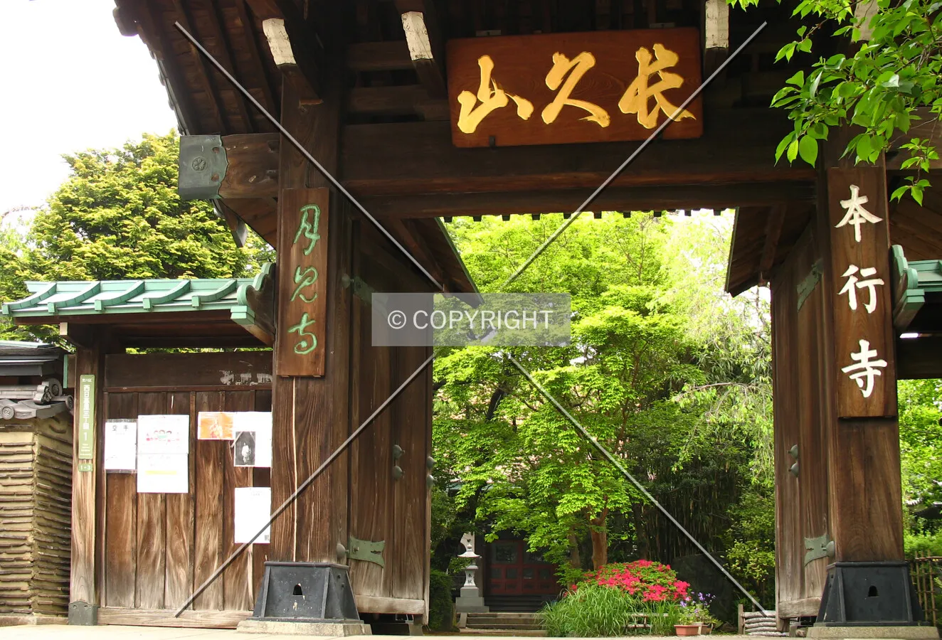 The Sanmon Gate at the south end of the temple precincts