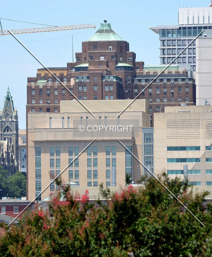 View from the southeast