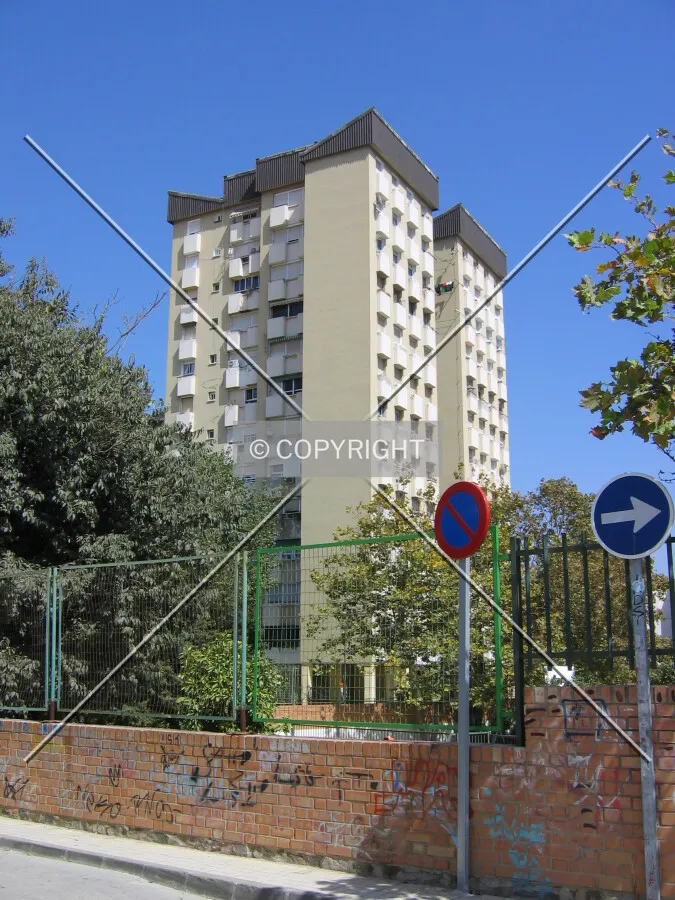 View from the southwest