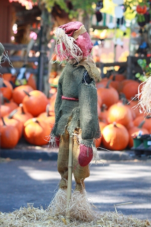 A small scarecrow