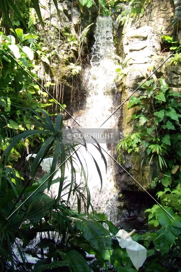 Indoor waterfall; May 9, 2009