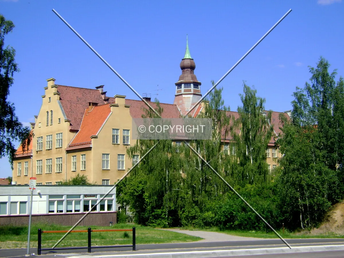 View from the south