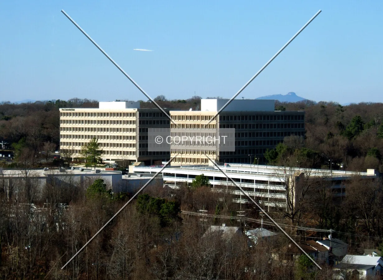 View from the southeast with Pilot Mountain in the distance