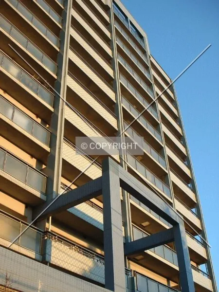 Photo 590-021-679