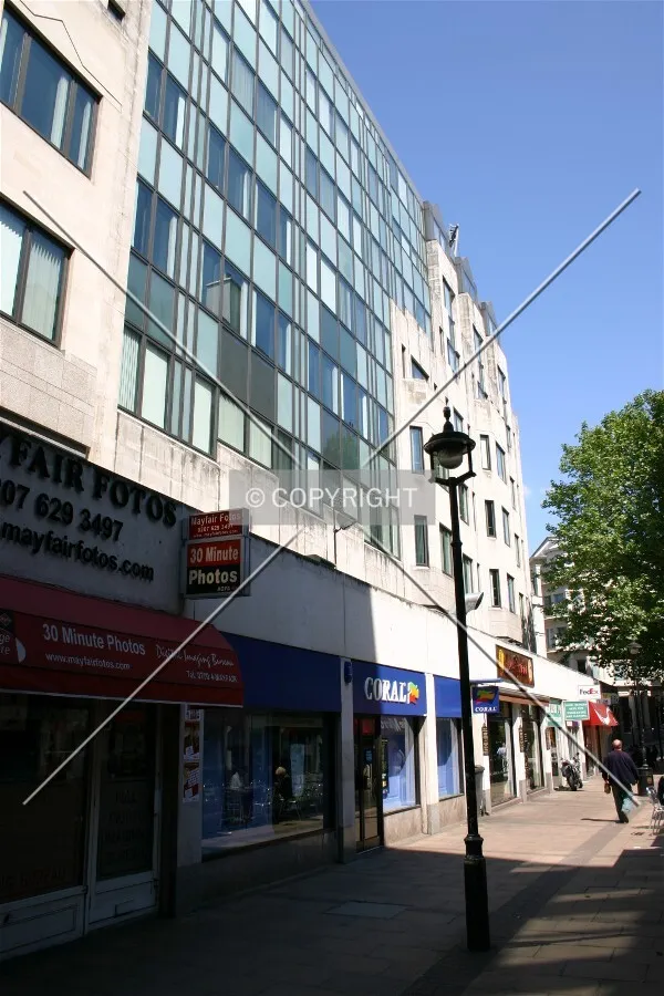 View from the rear